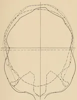 An illustration from List of publications of the Museum of the American Indian : Heye foundation (1924)