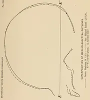 An illustration from List of publications of the Museum of the American Indian : Heye foundation (1924)