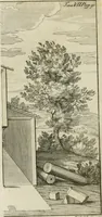 An illustration from L'istoria della Chiesa di S. Giovanni avanti Porta Latina, titolo cardinalizio (1716)