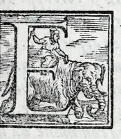 Picture 8 of 15 from L'istoria di Verona, del sig. Girolamo dalla Corte gentil'huomo veronese : divisa in dve parti, et in XXII libri : nella qvale non solo a pieno si contengono le cose pertinenti alla detta città, ma molte altre ancora si toccano, che alle altre città, & luoghi circonuicini si aspettano : con la tauola in ciascuna parte delle cose più notabili (1592), leaf 257
