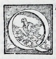 Picture 9 of 15 from L'istoria di Verona, del sig. Girolamo dalla Corte gentil'huomo veronese : divisa in dve parti, et in XXII libri : nella qvale non solo a pieno si contengono le cose pertinenti alla detta città, ma molte altre ancora si toccano, che alle altre città, & luoghi circonuicini si aspettano : con la tauola in ciascuna parte delle cose più notabili (1592), leaf 326