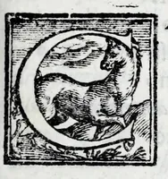 An illustration from L'istoria di Verona, del sig. Girolamo dalla Corte gentil'huomo veronese : divisa in dve parti, et in XXII libri : nella qvale non solo a pieno si contengono le cose pertinenti alla detta città, ma molte altre ancora si toccano, che alle altre città, & luoghi circonuicini si aspettano : con la tauola in ciascuna parte delle cose più notabili (1592)