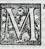 An illustration from L'istoria di Verona, del sig. Girolamo dalla Corte gentil'huomo veronese : divisa in dve parti, et in XXII libri : nella qvale non solo a pieno si contengono le cose pertinenti alla detta città, ma molte altre ancora si toccano, che alle altre città, & luoghi circonuicini si aspettano : con la tauola in ciascuna parte delle cose più notabili (1592)