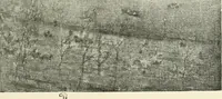 An illustration from Lithography and lithographers; some chapters in the history of the art (1915)