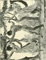 An illustration from Lithography and lithographers; some chapters in the history of the art (1915)