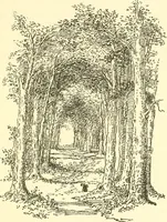 An illustration from Little book of garden songs (1921)