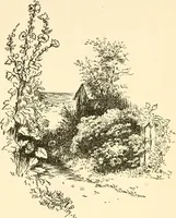 An illustration from Little book of garden songs (1921)