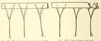 Picture 11 of 14 from Little folks' handy book (1910), leaf 126