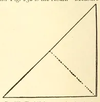 An illustration from Little folks' handy book (1910)
