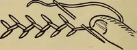 An illustration from A little sewing book for a little girl (1918)