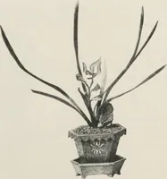 An illustration from Illustrated catalogue of the furniture and embellishments from the Imperial Palace, Pekin, exquisitely wrought gold ornaments from the ceremonial crowns of the former Emperor and Empress of China and numerous other objects of antiquity and distinctive artistic excellence, recently acquired by the firm of Messrs. Yamanaka & Company, New York, Japan, China [electronic resource] : to be sold at unrestricted public sale on the afternoons herein stated (1917)