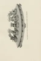 An illustration from Illustrated catalogue of the furniture and embellishments from the Imperial Palace, Pekin, exquisitely wrought gold ornaments from the ceremonial crowns of the former Emperor and Empress of China and numerous other objects of antiquity and distinctive artistic excellence, recently acquired by the firm of Messrs. Yamanaka & Company, New York, Japan, China [electronic resource] : to be sold at unrestricted public sale on the afternoons herein stated (1917)