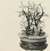 An illustration from Illustrated catalogue of the furniture and embellishments from the Imperial Palace, Pekin, exquisitely wrought gold ornaments from the ceremonial crowns of the former Emperor and Empress of China and numerous other objects of antiquity and distinctive artistic excellence, recently acquired by the firm of Messrs. Yamanaka & Company, New York, Japan, China [electronic resource] : to be sold at unrestricted public sale on the afternoons herein stated (1917)
