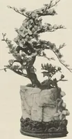 An illustration from Illustrated catalogue of the furniture and embellishments from the Imperial Palace, Pekin, exquisitely wrought gold ornaments from the ceremonial crowns of the former Emperor and Empress of China and numerous other objects of antiquity and distinctive artistic excellence, recently acquired by the firm of Messrs. Yamanaka & Company, New York, Japan, China [electronic resource] : to be sold at unrestricted public sale on the afternoons herein stated (1917)