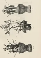 An illustration from Illustrated catalogue of the furniture and embellishments from the Imperial Palace, Pekin, exquisitely wrought gold ornaments from the ceremonial crowns of the former Emperor and Empress of China and numerous other objects of antiquity and distinctive artistic excellence, recently acquired by the firm of Messrs. Yamanaka & Company, New York, Japan, China [electronic resource] : to be sold at unrestricted public sale on the afternoons herein stated (1917)