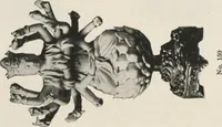 An illustration from Illustrated catalogue of the furniture and embellishments from the Imperial Palace, Pekin, exquisitely wrought gold ornaments from the ceremonial crowns of the former Emperor and Empress of China and numerous other objects of antiquity and distinctive artistic excellence, recently acquired by the firm of Messrs. Yamanaka & Company, New York, Japan, China [electronic resource] : to be sold at unrestricted public sale on the afternoons herein stated (1917)
