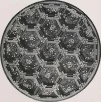 An illustration from Illustrated catalogue of the important collection of antique Chinese porcelains, Sung and Ming potteries, ancient stone sculptures, carved jades and other hard stones, snuff bottles, Mandarin necklaces, bronzes, enamels, palace furniture and wall panels and a number of rare and fine ancient Chinese paintings of the Sung and Ming periods [electronic resource] : all of which are to be sold at unrestricted public sale by direction of the Chinese expert, Lee Van Ching of Shanghai on the afternoons herein stated (1917)