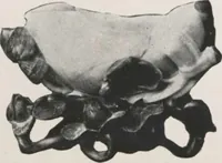 An illustration from Illustrated catalogue of the important collection of antique Chinese porcelains, Sung and Ming potteries, ancient stone sculptures, carved jades and other hard stones, snuff bottles, Mandarin necklaces, bronzes, enamels, palace furniture and wall panels and a number of rare and fine ancient Chinese paintings of the Sung and Ming periods [electronic resource] : all of which are to be sold at unrestricted public sale by direction of the Chinese expert, Lee Van Ching of Shanghai on the afternoons herein stated (1917)