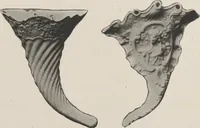 An illustration from Illustrated catalogue of a remarkable collection of beautiful white glazes in European and Oriental productions, exceptional Chinese porcelains, exclusively single-color specimens [electronic resource] : to be sold at unrestricted public sale by direction of Mr. Thomas B. Clarke at the American Art Galleries on the afternoons herein stated (1918)