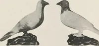 Picture 5 of 78 from Illustrated catalogue of an exceedingly important collection of artistic Oriental objects and decorative art, which the owners have been three years in assembling [electronic resource] : to be sold at unrestricted public sale by direction of the owners, the well-known house of Yamanaka & Co., New York, Japan, China, London, on the afternoons and evening herein stated (1921), leaf 39