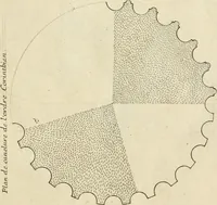 An illustration from Liure nouueau de l'art d'architecture : des cinq ordres et de plusieurs recueils de cette science, comme amphitheatres, plans, élevations, perspectiue et autres, desseignez correctement d'apres Vitruue, Scamossi, Palladio, Vignole et de Lorme (1650)
