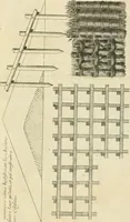 An illustration from Liure nouueau de l'art d'architecture : des cinq ordres et de plusieurs recueils de cette science, comme amphitheatres, plans, élevations, perspectiue et autres, desseignez correctement d'apres Vitruue, Scamossi, Palladio, Vignole et de Lorme (1650)