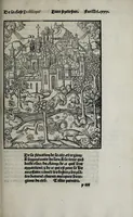 An illustration from Liure tres fructueux et vtille a toutes personnes de linstitution et administration de la chose publicque : traictãt des vtilitez, ars, et sentẽces necessaires en icelles et de leurs inuenteurs : aorne de plusieurs belles sciences et doctrines, tant de la saincte escripture, philozophie, humanite, poeterie, medecine et aultres singularitez (1520)