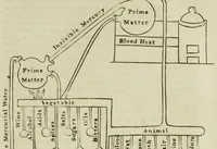 An illustration from The lives of alchemystical philosophers : with a critical catalogue of books in occult chemistry, and a selection of the most celebrated treatises on the theory and practice of the hermetic art (1815)