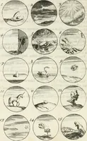 An illustration from Livre curieux et utile pour les sçavans et artistes : composé de trois alphabets de chiffres simples, doubles & triples, fleuronnez et au premier trait : accompagné d'un tres grand nombre de devises, emblêmes, médailles et autres figures hieroglyfiques : ensemble de plusieurs supports et cimiers pour les ornemens des armes : avec une table tres ample par le moyen de laquelle on trouvera facilement tous les noms imaginables (1685)