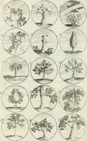 An illustration from Livre curieux et utile pour les sçavans et artistes : composé de trois alphabets de chiffres simples, doubles & triples, fleuronnez et au premier trait : accompagné d'un tres grand nombre de devises, emblêmes, médailles et autres figures hieroglyfiques : ensemble de plusieurs supports et cimiers pour les ornemens des armes : avec une table tres ample par le moyen de laquelle on trouvera facilement tous les noms imaginables (1685)