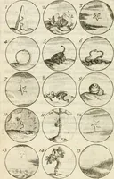 An illustration from Livre curieux et utile pour les sçavans et artistes : composé de trois alphabets de chiffres simples, doubles & triples, fleuronnez et au premier trait : accompagné d'un tres grand nombre de devises, emblêmes, médailles et autres figures hieroglyfiques : ensemble de plusieurs supports et cimiers pour les ornemens des armes : avec une table tres ample par le moyen de laquelle on trouvera facilement tous les noms imaginables (1685)
