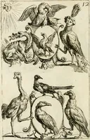 An illustration from Livre curieux et utile pour les sçavans et artistes : composé de trois alphabets de chiffres simples, doubles & triples, fleuronnez et au premier trait : accompagné d'un tres grand nombre de devises, emblêmes, médailles et autres figures hieroglyfiques : ensemble de plusieurs supports et cimiers pour les ornemens des armes : avec une table tres ample par le moyen de laquelle on trouvera facilement tous les noms imaginables (1685)