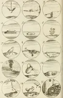 An illustration from Livre curieux et utile pour les sçavans et artistes : composé de trois alphabets de chiffres simples, doubles & triples, fleuronnez et au premier trait : accompagné d'un tres grand nombre de devises, emblêmes, médailles et autres figures hieroglyfiques : ensemble de plusieurs supports et cimiers pour les ornemens des armes : avec une table tres ample par le moyen de laquelle on trouvera facilement tous les noms imaginables (1685)