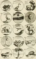 An illustration from Livre curieux et utile pour les sçavans et artistes : composé de trois alphabets de chiffres simples, doubles & triples, fleuronnez et au premier trait : accompagné d'un tres grand nombre de devises, emblêmes, médailles et autres figures hieroglyfiques : ensemble de plusieurs supports et cimiers pour les ornemens des armes : avec une table tres ample par le moyen de laquelle on trouvera facilement tous les noms imaginables (1685)