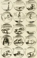 An illustration from Livre curieux et utile pour les sçavans et artistes : composé de trois alphabets de chiffres simples, doubles & triples, fleuronnez et au premier trait : accompagné d'un tres grand nombre de devises, emblêmes, médailles et autres figures hieroglyfiques : ensemble de plusieurs supports et cimiers pour les ornemens des armes : avec une table tres ample par le moyen de laquelle on trouvera facilement tous les noms imaginables (1685)