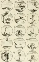 An illustration from Livre curieux et utile pour les sçavans et artistes : composé de trois alphabets de chiffres simples, doubles & triples, fleuronnez et au premier trait : accompagné d'un tres grand nombre de devises, emblêmes, médailles et autres figures hieroglyfiques : ensemble de plusieurs supports et cimiers pour les ornemens des armes : avec une table tres ample par le moyen de laquelle on trouvera facilement tous les noms imaginables (1685)