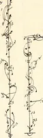 An illustration from Livre de danse : manuscript (1700)
