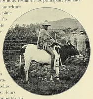 An illustration from Livre d'or de la mission du Lessouto. Soixante-quinze ans de l'histoire d'une tribu Sud-Africaine, 1833-1908 (1912)