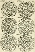 Picture 145 of 150 from Livre nouveau et utile pour toutes sortes d'artistes, et particulierement pour les orfevres, les orlogeurs, les peintres, les graveurs, les brodeurs, &c. : contenant quatre alphabets de chiffres fleuronnez au premier trait avec quantite de devises, d'emblemes et de noeuds d'amour : avec une table exacte pour trouver en général tous les noms et surnoms entrelassez (1690), leaf 196