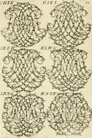 Picture 147 of 150 from Livre nouveau et utile pour toutes sortes d'artistes, et particulierement pour les orfevres, les orlogeurs, les peintres, les graveurs, les brodeurs, &c. : contenant quatre alphabets de chiffres fleuronnez au premier trait avec quantite de devises, d'emblemes et de noeuds d'amour : avec une table exacte pour trouver en général tous les noms et surnoms entrelassez (1690), leaf 200