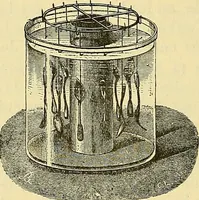 An illustration from L'électricité a la portée de tout le monde (1906)