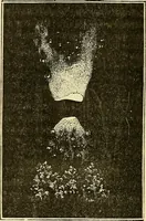 An illustration from L'électricité a la portée de tout le monde (1906)
