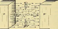 An illustration from L'électricité a la portée de tout le monde (1906)