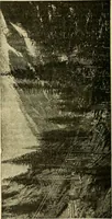 An illustration from L'électricité a la portée de tout le monde (1906)
