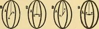 An illustration from L'électricité a la portée de tout le monde (1906)