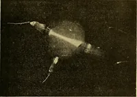 An illustration from L'électricité a la portée de tout le monde (1906)