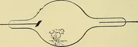 An illustration from L'électricité a la portée de tout le monde (1906)