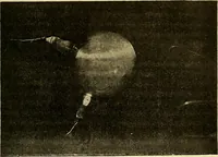 An illustration from L'électricité a la portée de tout le monde (1906)