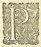 An illustration from Llibre de la congregacio, y germandat de la Sanctissima Verge del Socorro, ab vna noua, y perpetua capellania de innumerables Misses pera los vius, y difuncts della; en la qual, qui viu pot aggregar al mort, que vulga : fundada en los collegis de la Compañia de Iesus de la ciutat de Sancta Fe del nou regne de Granada, y de la fidelissima vila de Perpinya (1666)
