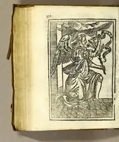 An illustration from Llibre de la congregacio, y germandat de la Sanctissima Verge del Socorro, ab vna noua, y perpetua capellania de innumerables Misses pera los vius, y difuncts della; en la qual, qui viu pot aggregar al mort, que vulga : fundada en los collegis de la Compañia de Iesus de la ciutat de Sancta Fe del nou regne de Granada, y de la fidelissima vila de Perpinya (1666)